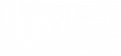 logo-dfn-branco